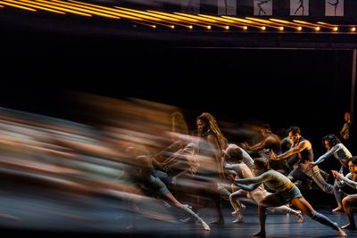 The company of Black Swan Photo