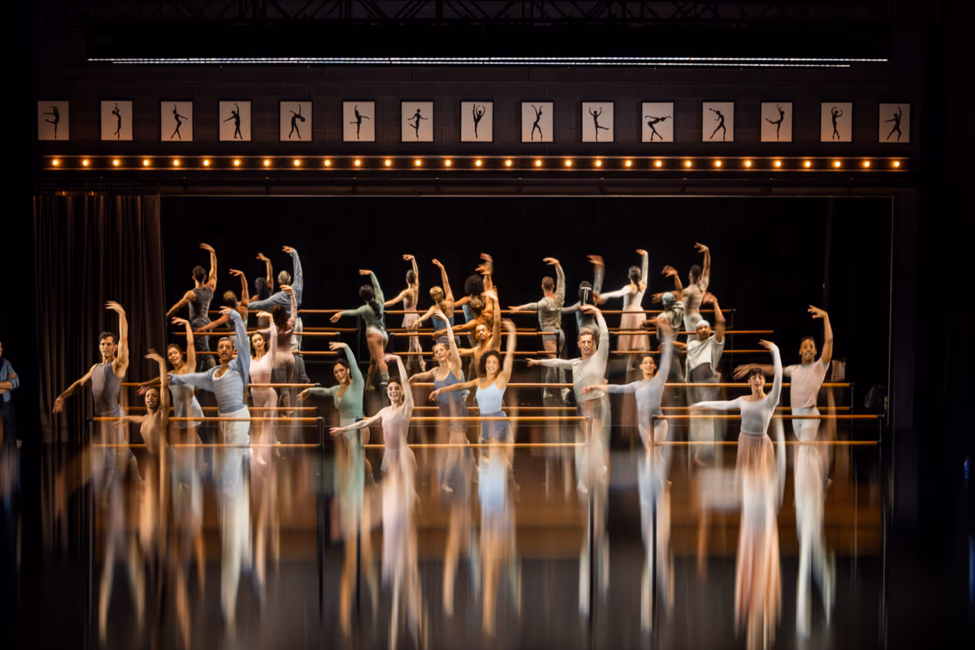 Photos: See New Images of BLACK SWAN World Premiere at A.R.T. Image
