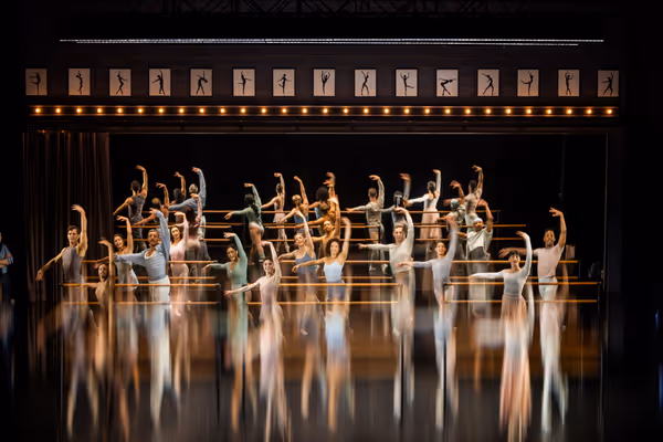 The company of Black Swan Photo