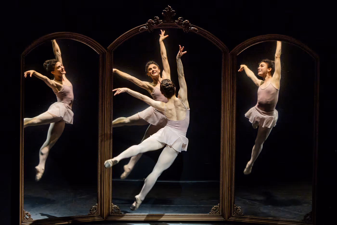 Photos: See New Images of BLACK SWAN World Premiere at A.R.T. Image