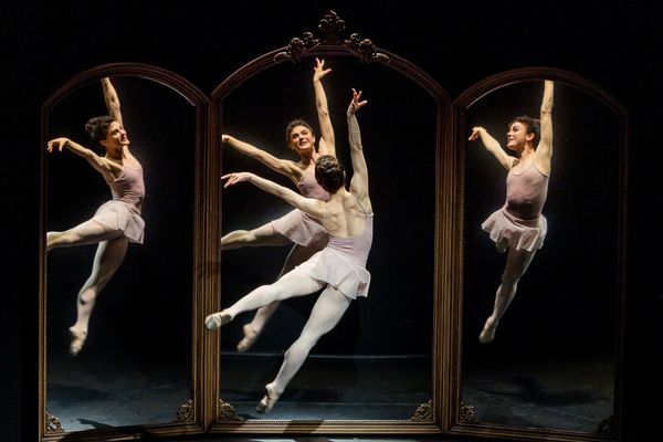 The company of Black Swan Photo