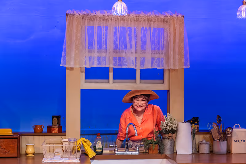Review: FIREFLIES at Shakespeare & Company Image