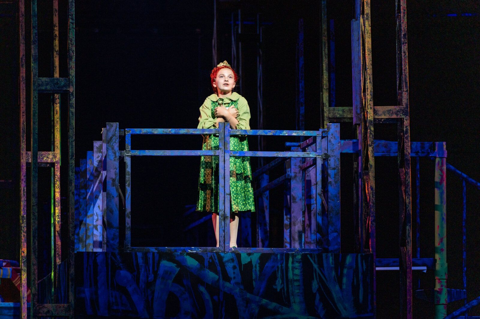 Photos: Nik Walker, Kara Lindsay and More Star in SHREK At The Muny — photo 9 of 26