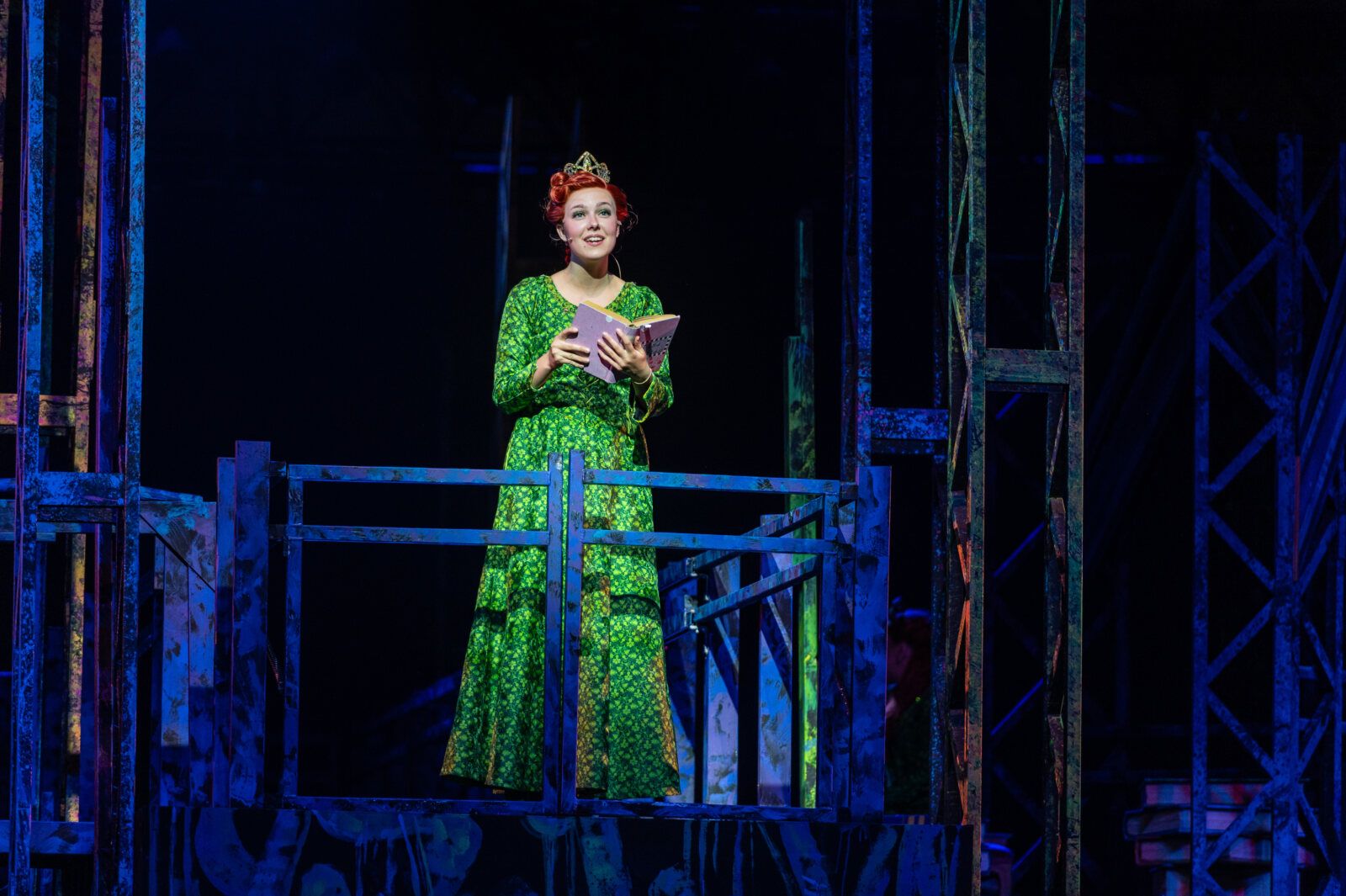 Photos: Nik Walker, Kara Lindsay and More Star in SHREK At The Muny — photo 10 of 26