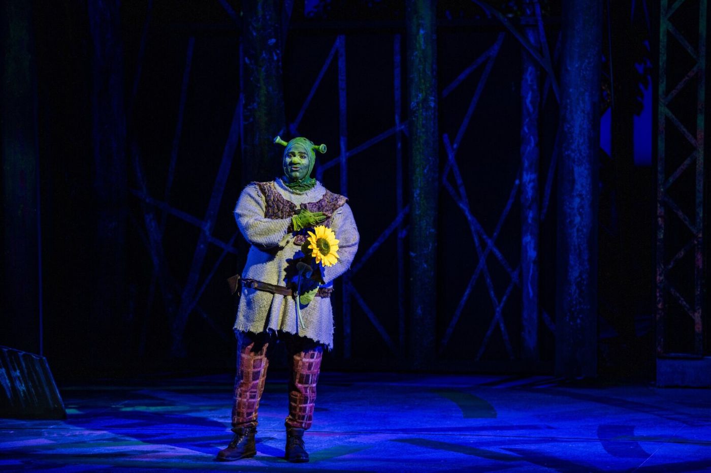 Photos: Nik Walker, Kara Lindsay and More Star in SHREK At The Muny Image