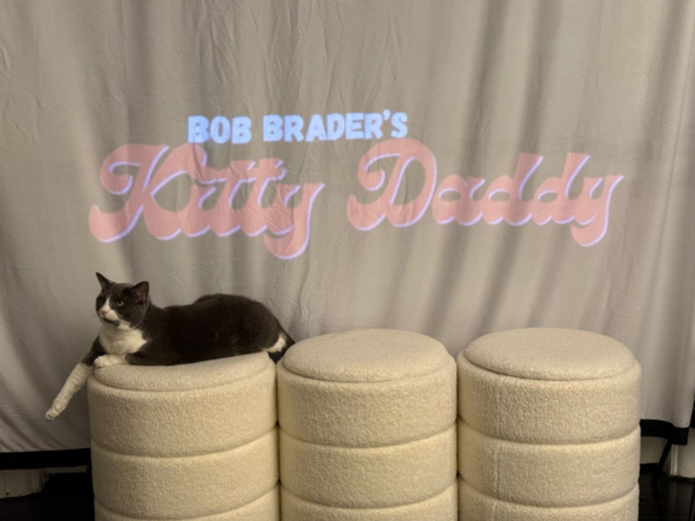 Photos: KITTY DADDY in Rehearsal at Edinburgh Fringe Image