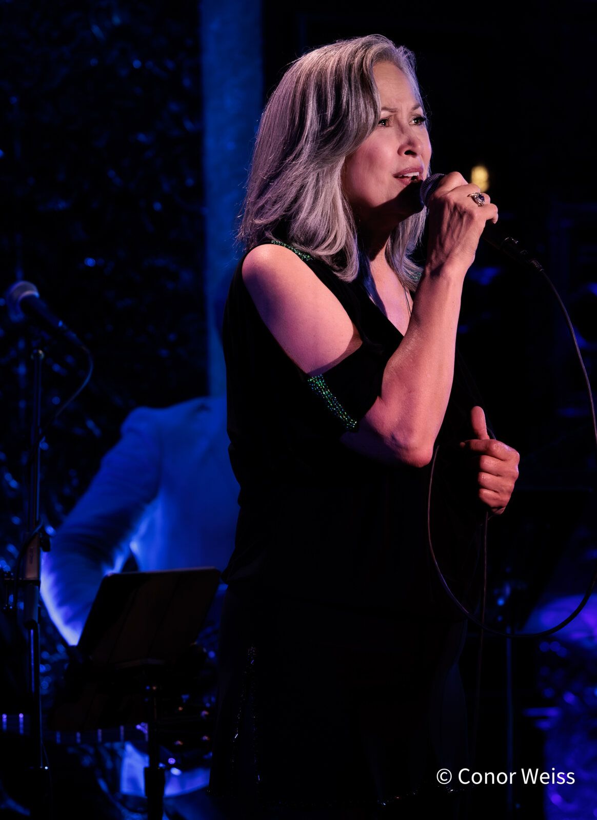 Photos: See Highlights of Linda Eder's Latest 54 Below Residency — photo 4 of 20
