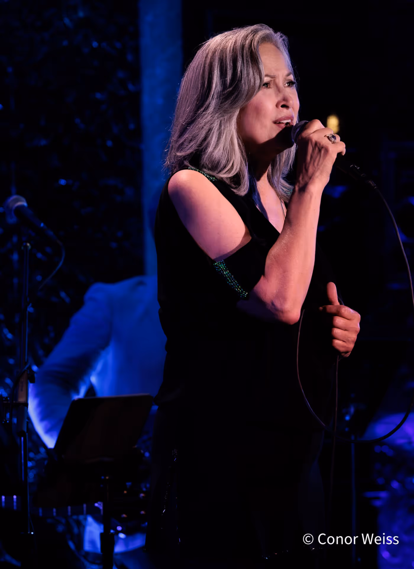 Photos: See Highlights of Linda Eder's Latest 54 Below Residency Image