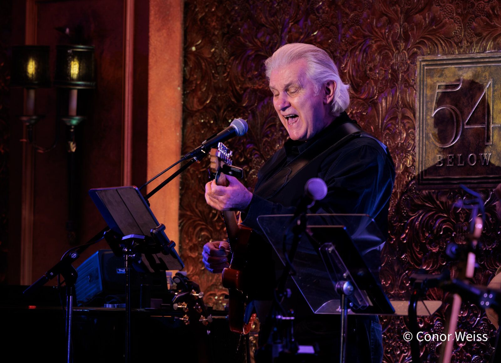 Photos: See Highlights of Linda Eder's Latest 54 Below Residency — photo 7 of 20