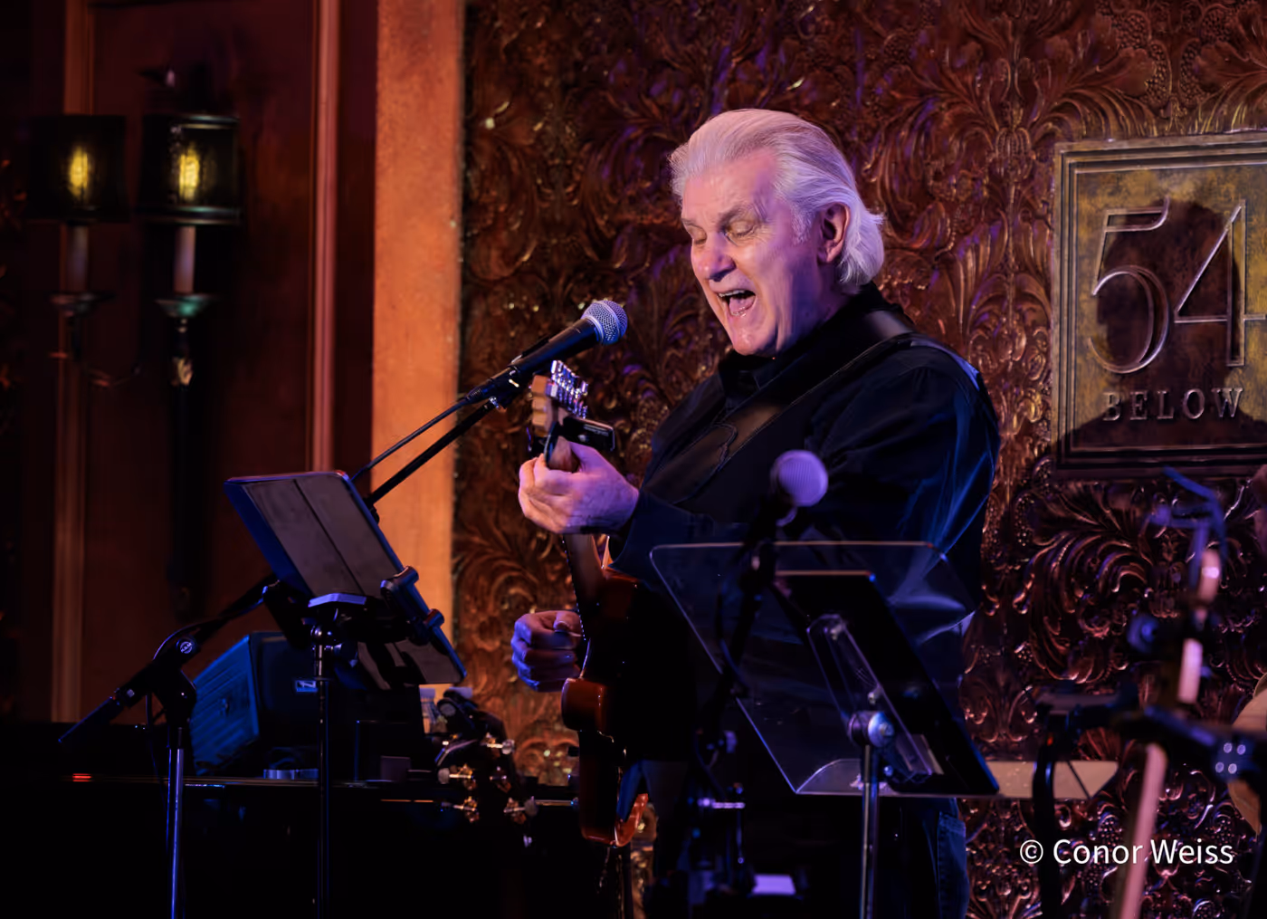 Photos: See Highlights of Linda Eder's Latest 54 Below Residency Image