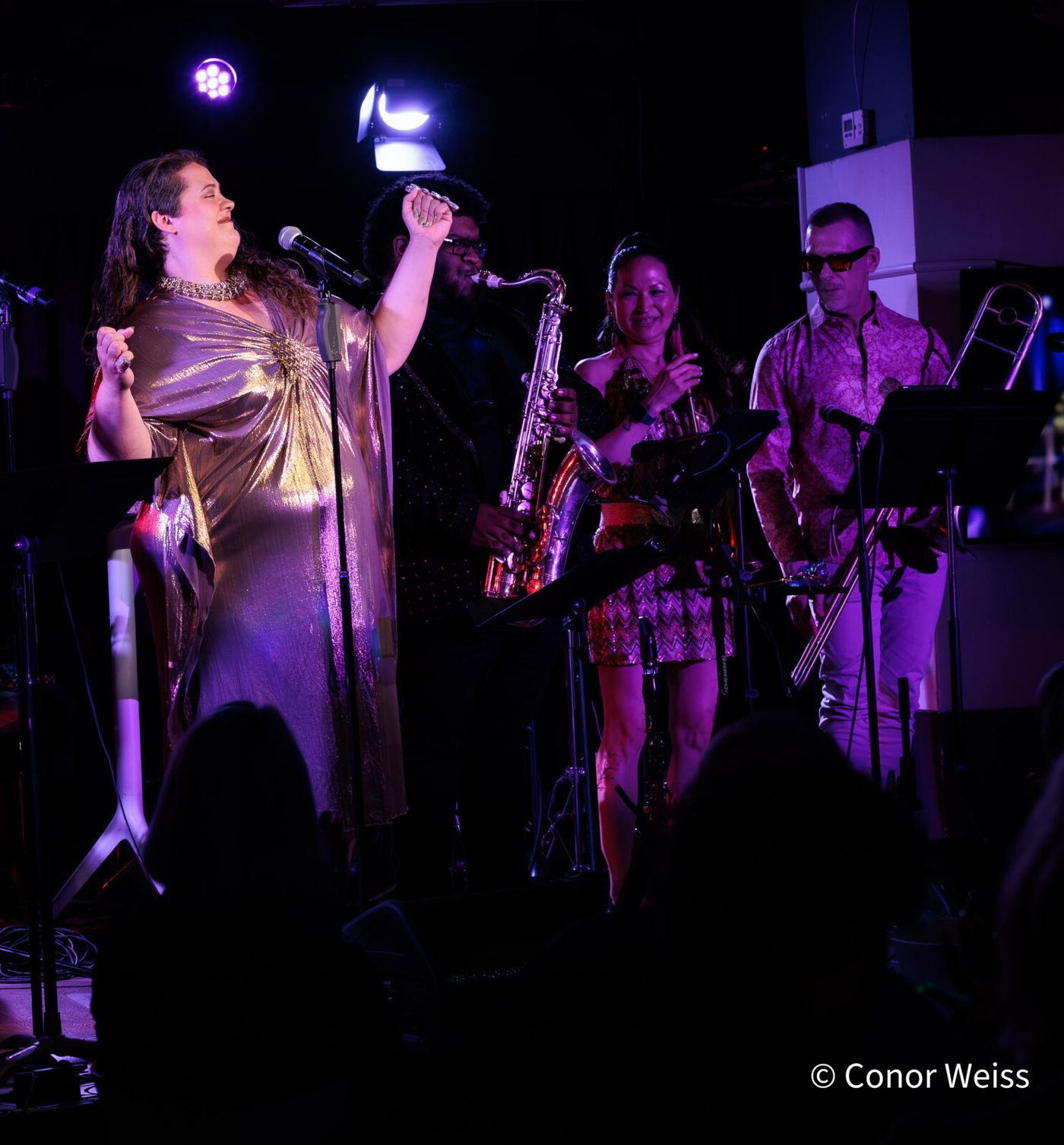 Photos: Carly Ozard's ETHEL MERMAN DISCO ALBUM PROJECT at the Green Room 42 Image