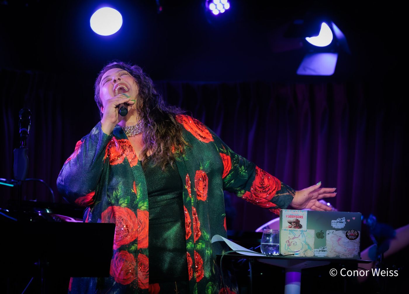 Photos: Carly Ozard's ETHEL MERMAN DISCO ALBUM PROJECT at the Green Room 42 Image