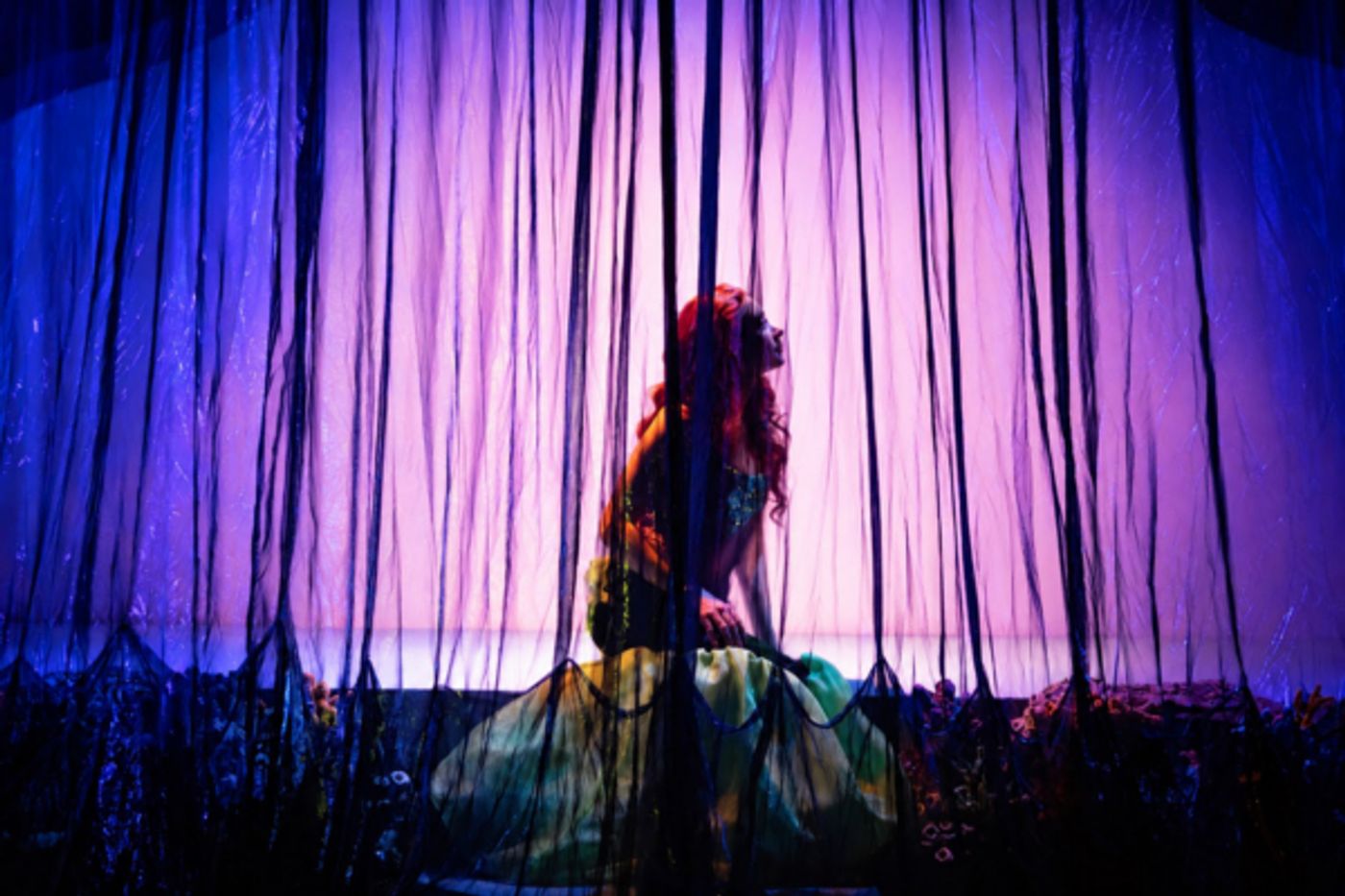 Photos: DISNEY'S THE LITTLE MERMAID to Open at Middletown Arts Center with The MAC Players Image