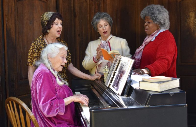 Interview: Director Willow Geer of Noël Coward’s WAITING IN THE WINGS Image