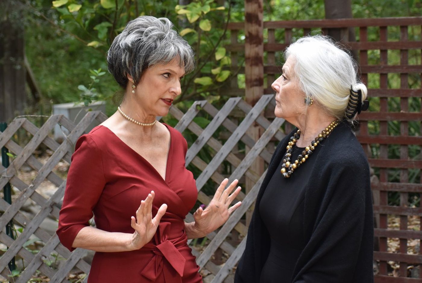 Interview: Director Willow Geer of Noël Coward’s WAITING IN THE WINGS Image