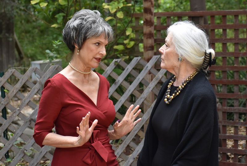 Interview: Director Willow Geer of Noël Coward’s WAITING IN THE WINGS Image