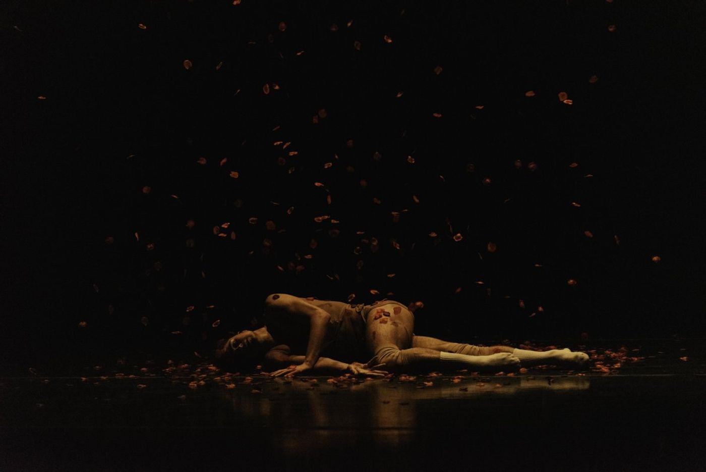 Review: FLIP at Charlotte Ballet Image