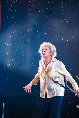 Maureen Beattie @ BroadwayWorld Maureen Beattie Photo