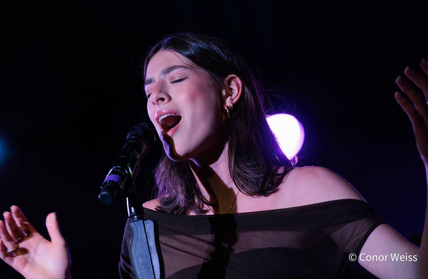 Photos: See Highlights from THE LINEUP WITH SUSIE MOSHER June 30 at the Green Room 42 Image