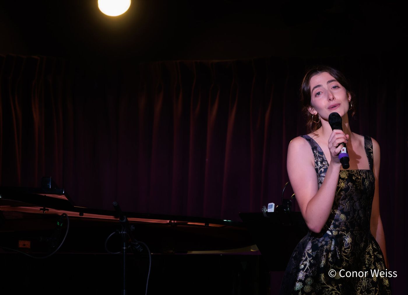 Photos: See Highlights from THE LINEUP WITH SUSIE MOSHER June 30 at the Green Room 42 Image