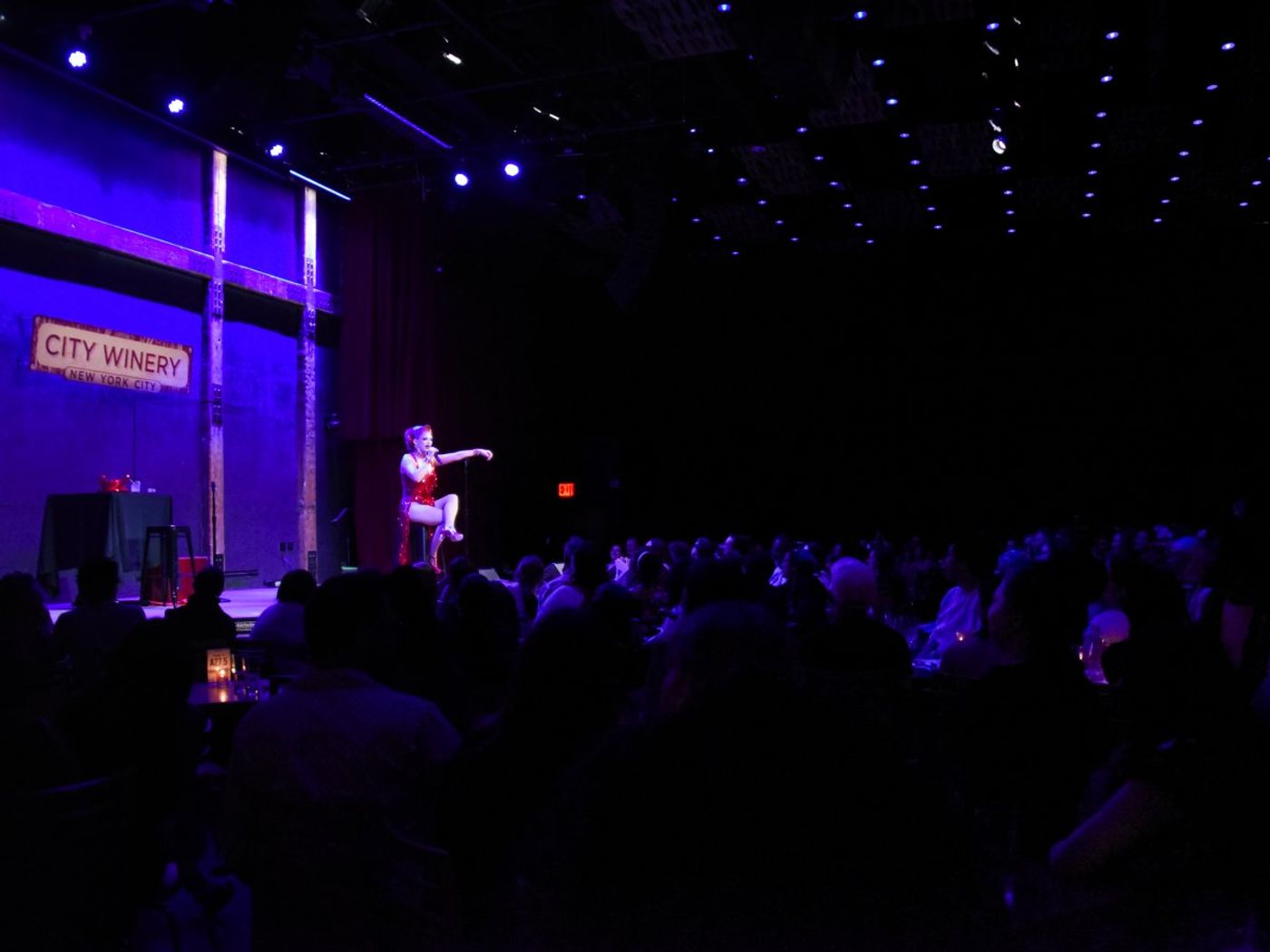 Review: Suzie Toot’s SUZIE WITH A Z Is a Star-Making Solo Debut at City Winery Image
