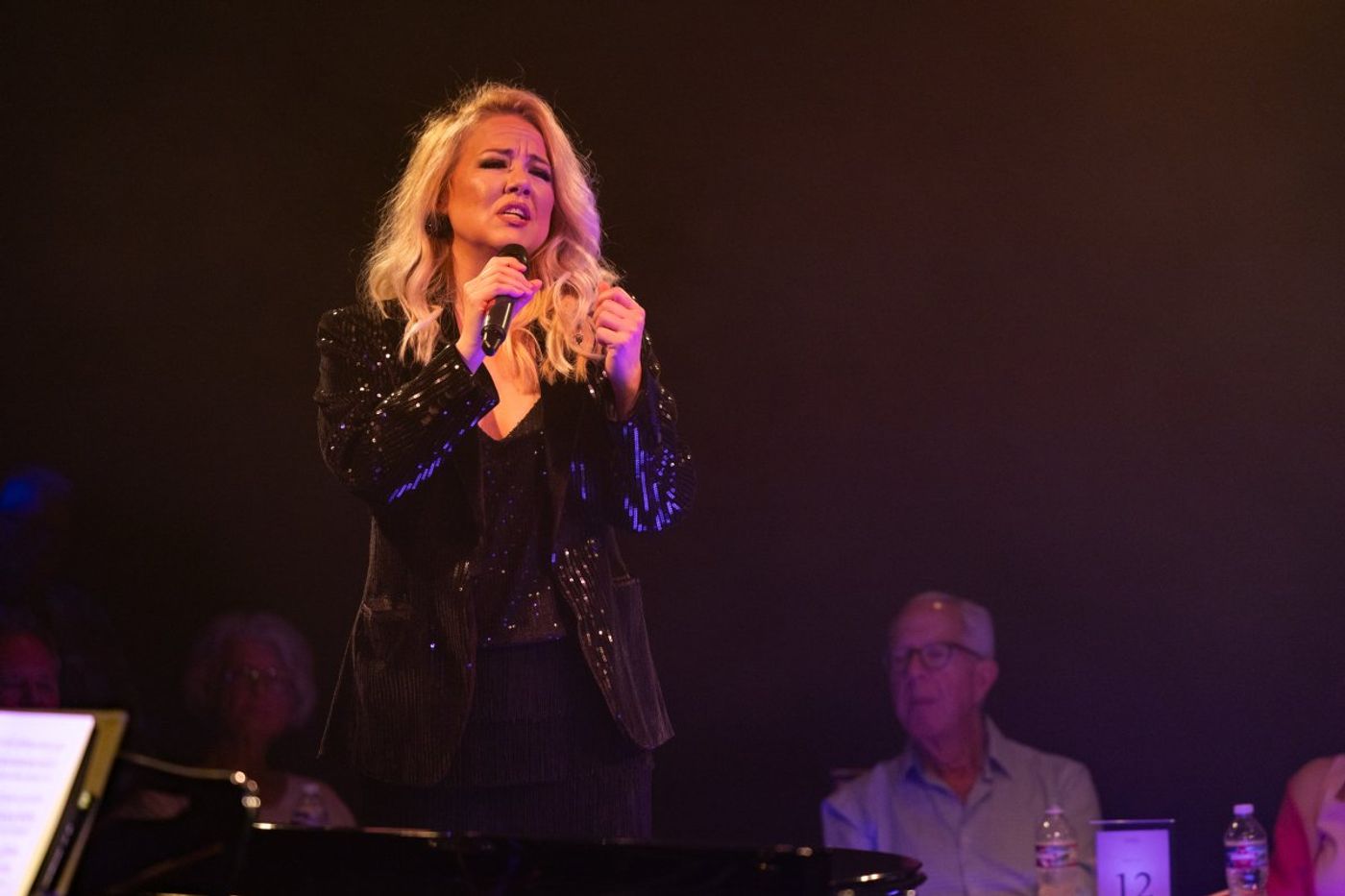 Review: BROADWAY AND BEYOND: CELEBRATING 30 SHOWS WITH HOLLAND VAVRA at STAGES Image