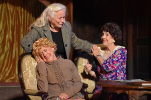 Michele Schultz, Ellen Geer, Cynthia Kania @ BroadwayWorld Michele Schultz, Ellen Geer, Cynthia Kania Photo
