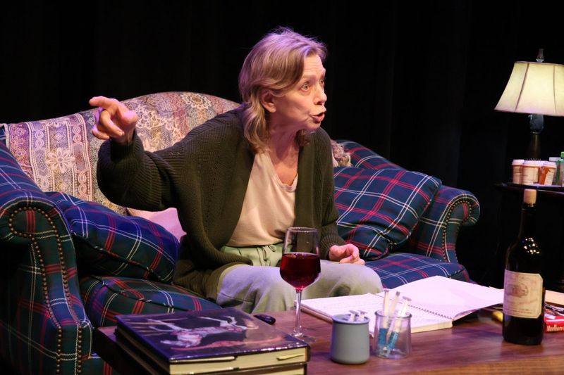 Review: PAINTED PONIES Starring Rachel Sorsa at Ruskin Group Theatre Image