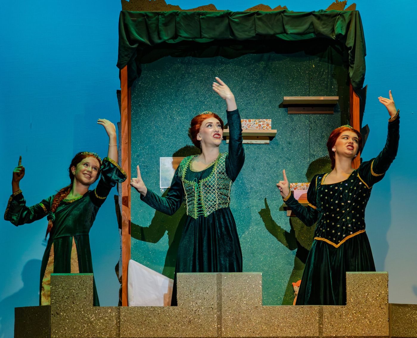 Photos/Video: SHREK: THE MUSICAL at Algonquin Arts Theatre Image