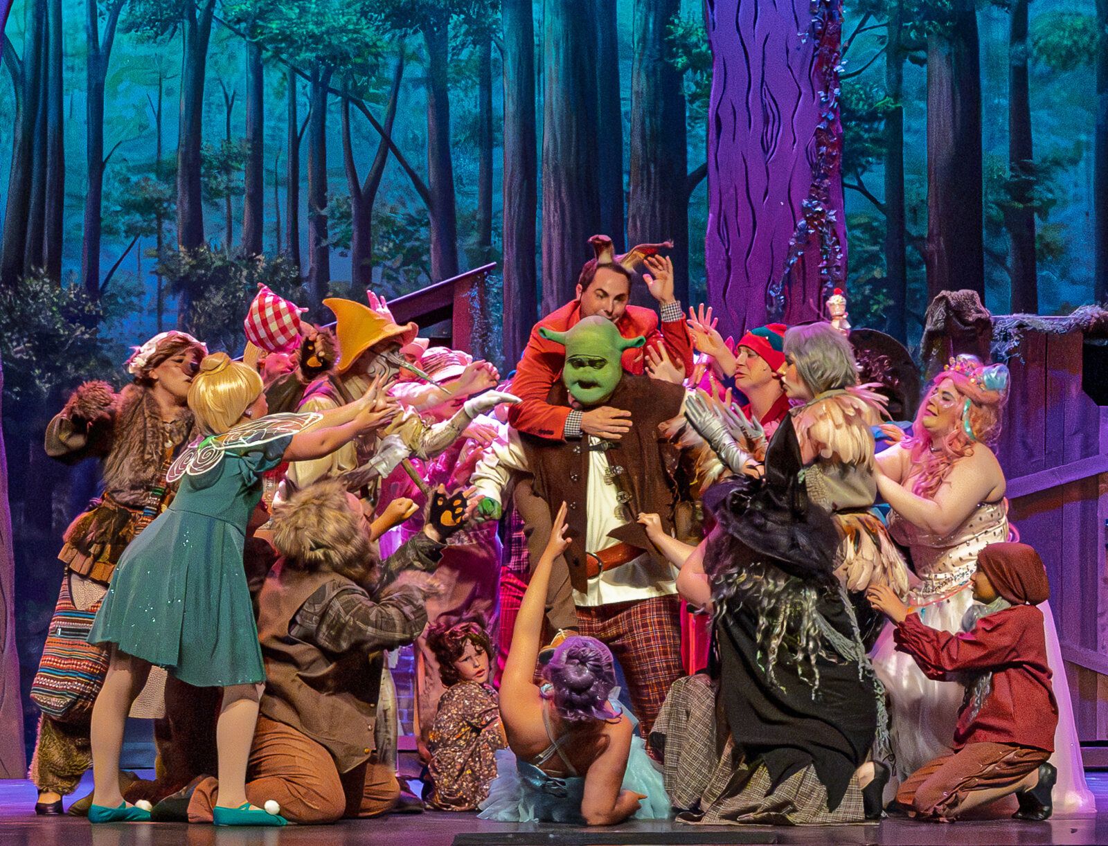 Photos/Video: SHREK: THE MUSICAL at Algonquin Arts Theatre — photo 7 of 20