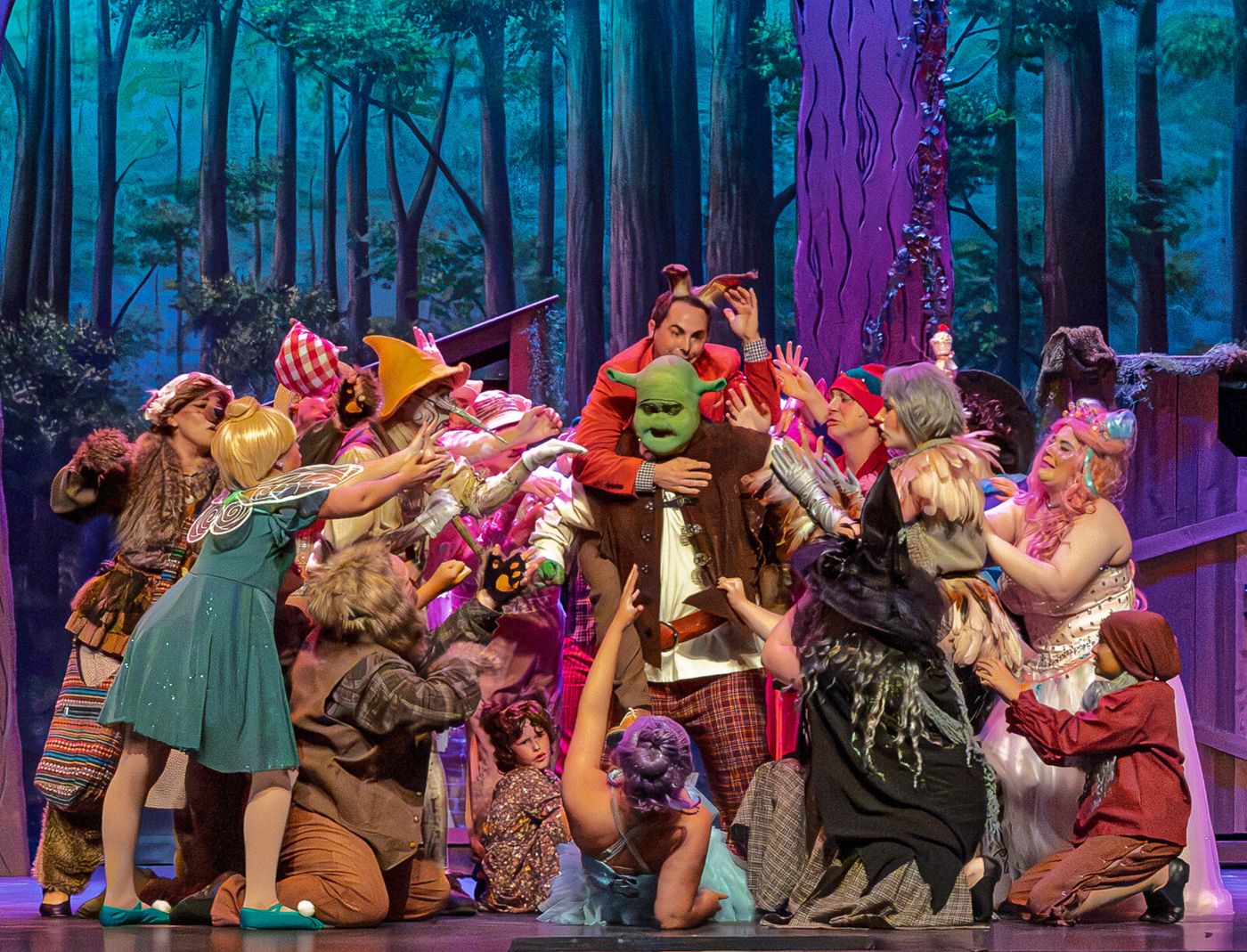 Photos/Video: SHREK: THE MUSICAL at Algonquin Arts Theatre Image