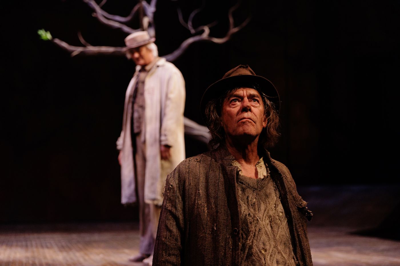 Interview: Tom McCamus of DEATH OF A SALESMAN AND WAITING FOR GODOT at the Stratford Festival Image