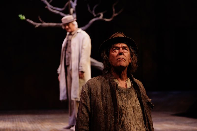 Interview: Tom McCamus of DEATH OF A SALESMAN AND WAITING FOR GODOT at the Stratford Festival Image