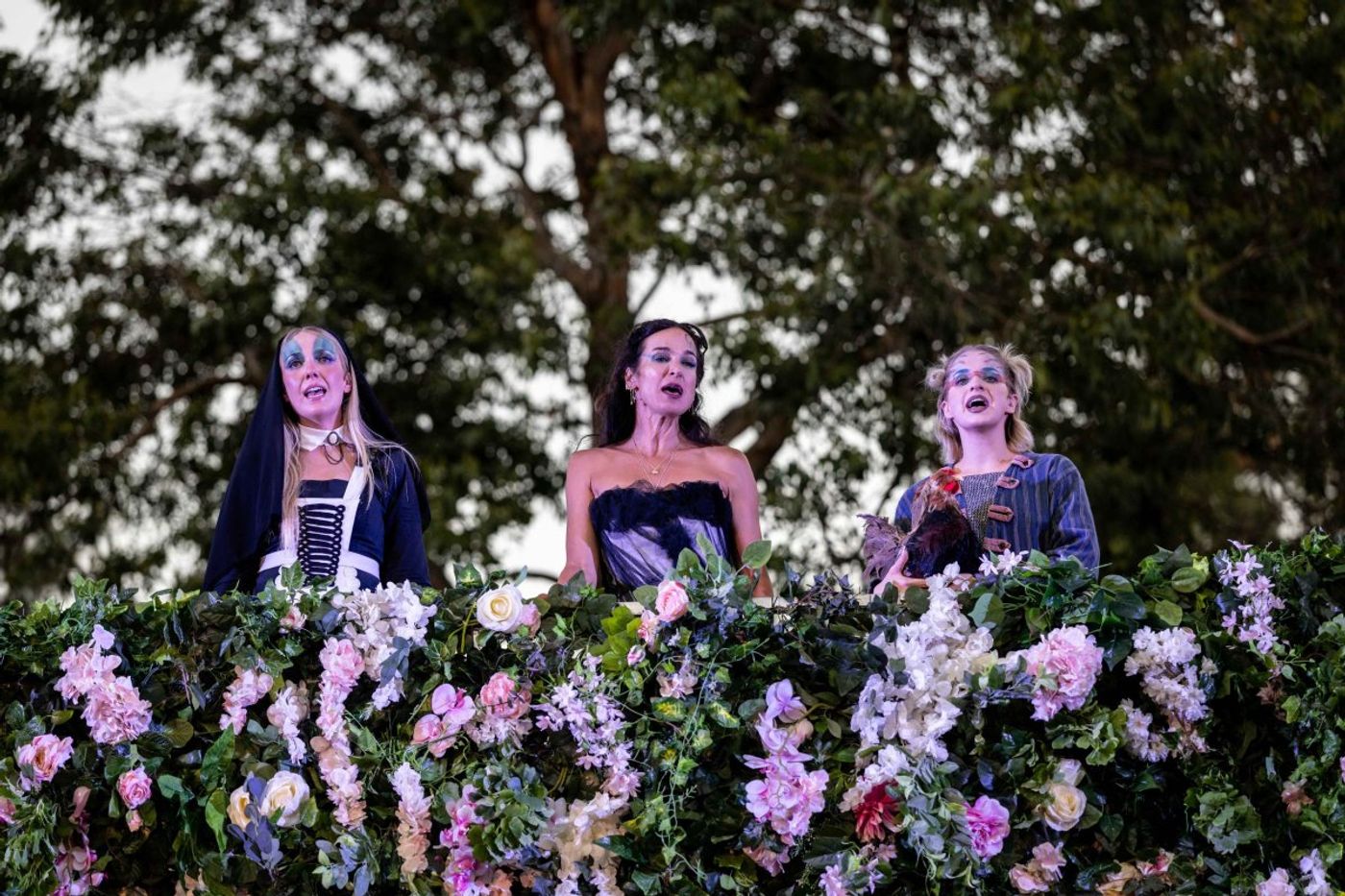 Review: TWELFTH NIGHT, Theatre On Kew Image
