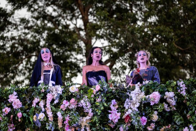 Review: TWELFTH NIGHT, Theatre On Kew Image