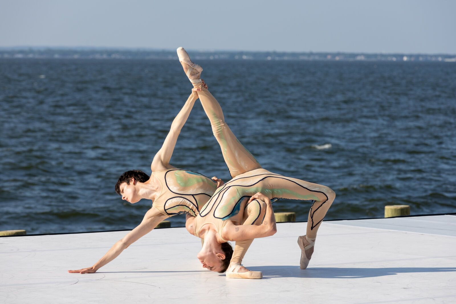 Photos/Video: Fire Island Dance Festival Raises Record 6,018 for Dancers Responding to AIDS — photo 24 of 26