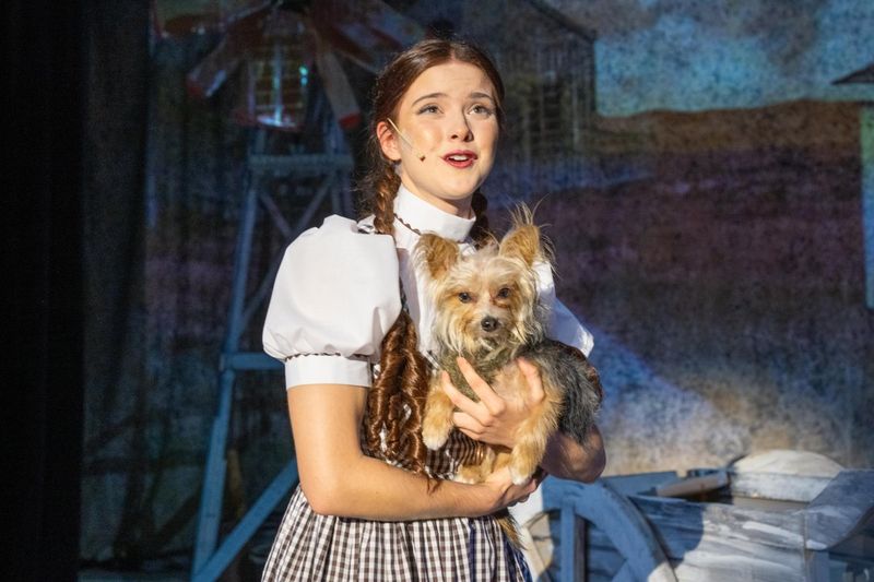 Review: THE WIZARD OF OZ at Palm Canyon Theatre Image