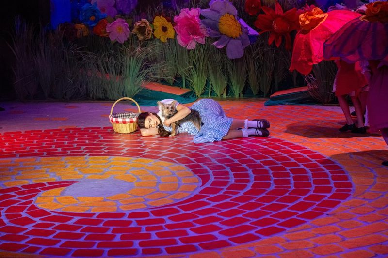 Review: THE WIZARD OF OZ at Palm Canyon Theatre Image