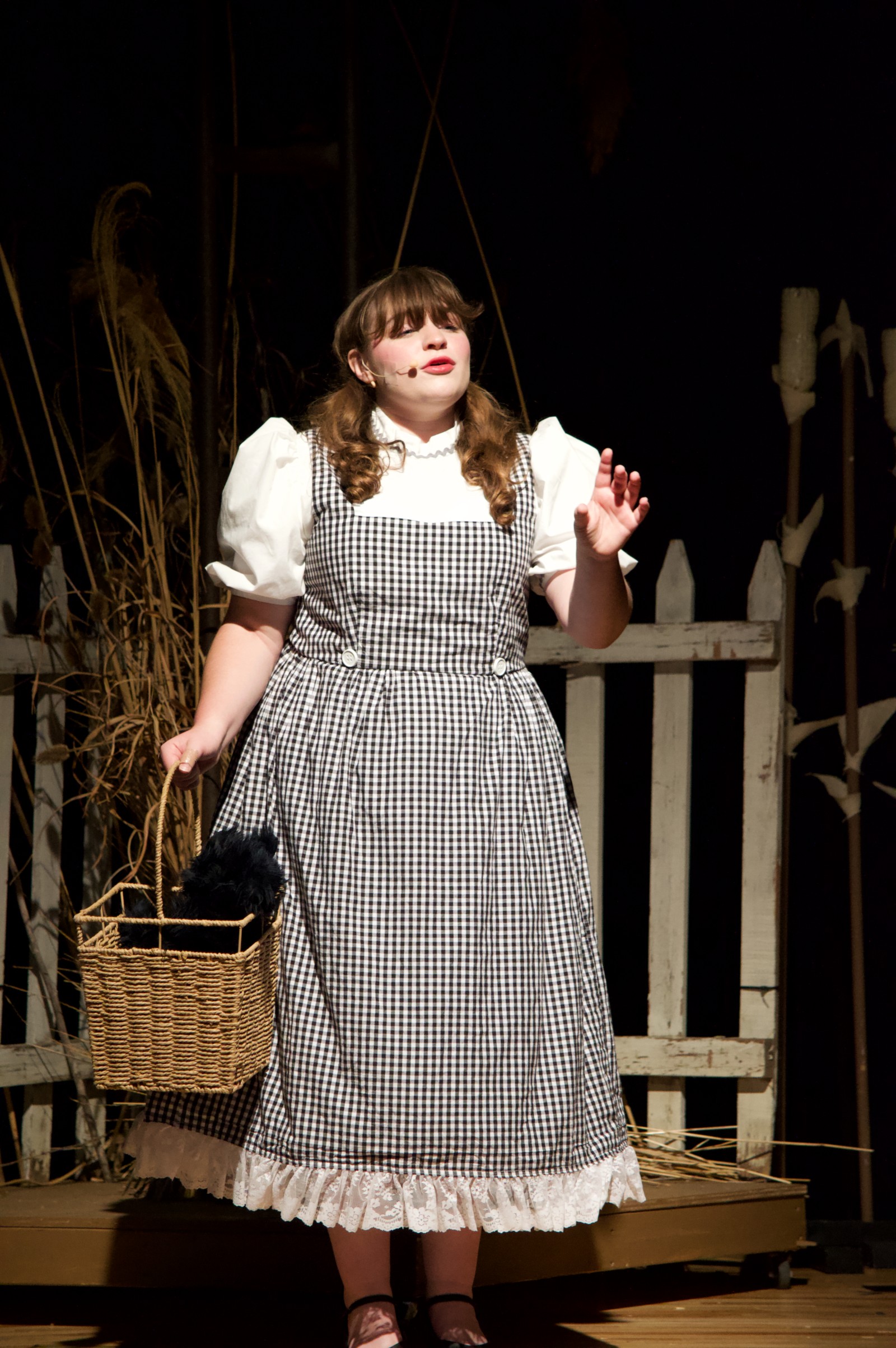 Photos: THE WIZARD OF OZ at Morrow Little Theatre — photo 2 of 10