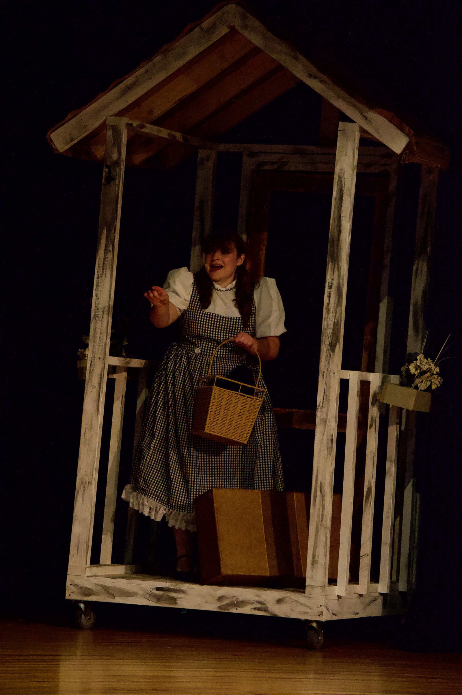 Photos: THE WIZARD OF OZ at Morrow Little Theatre — photo 6 of 10