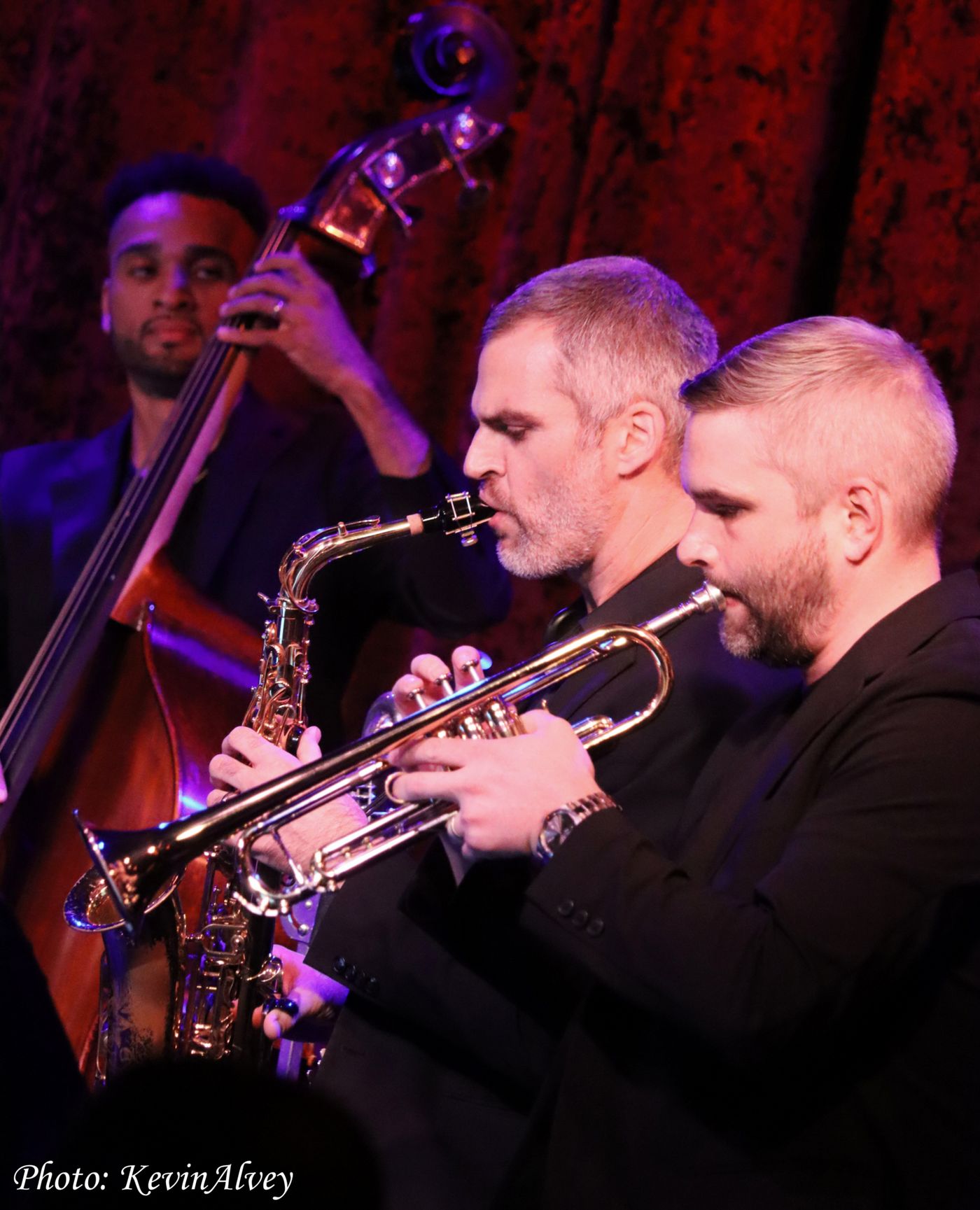 Photos: See Elizabeth Gillies' Return to Birdland Image