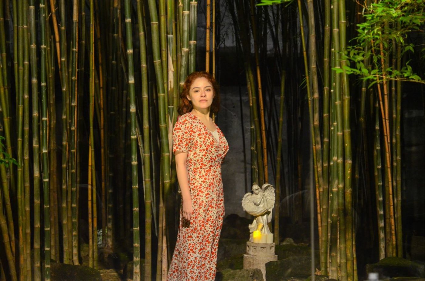 PHOTOS: Porvenir Reimagines Tennessee Williams in EL FUEGO DEL ALMA Image