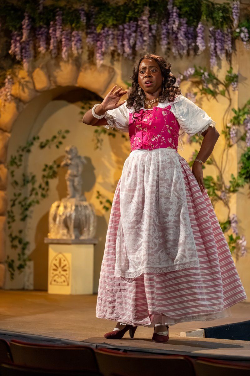 Review: L'ELISIR D'AMORE at Union Avenue Opera Image