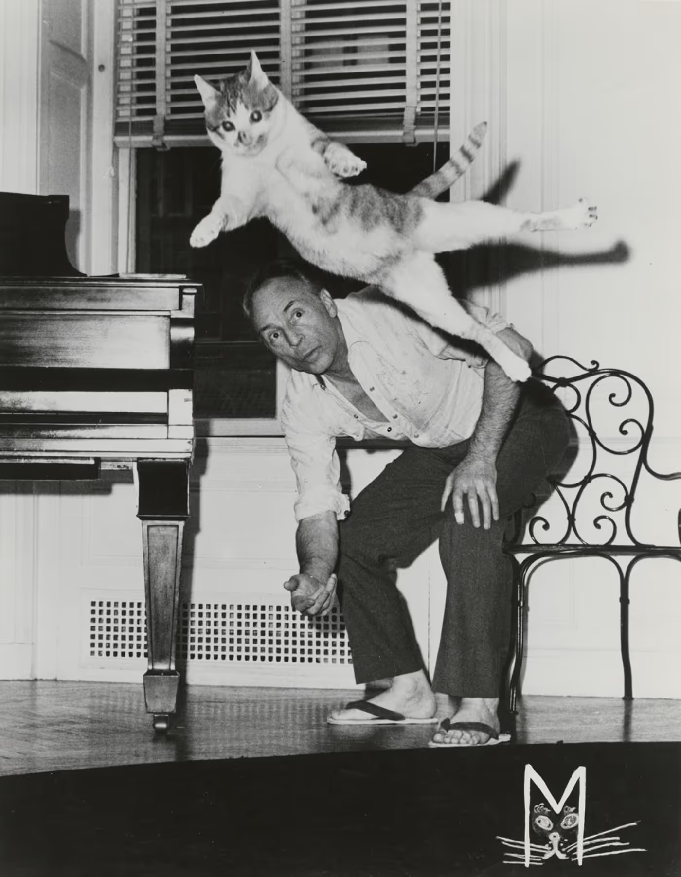 New NYPL Photo Exhibition Will Spotlight Animal Muses of Broadway and Beyond Image