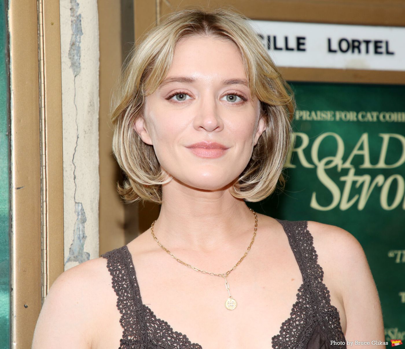 Photos: CAT COHEN: BROAD STROKES Opens Off-Broadway at the Lucille Lortel Theatre Image