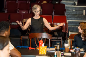 Laura Strausfeld @ BroadwayWorld Laura Strausfeld Photo