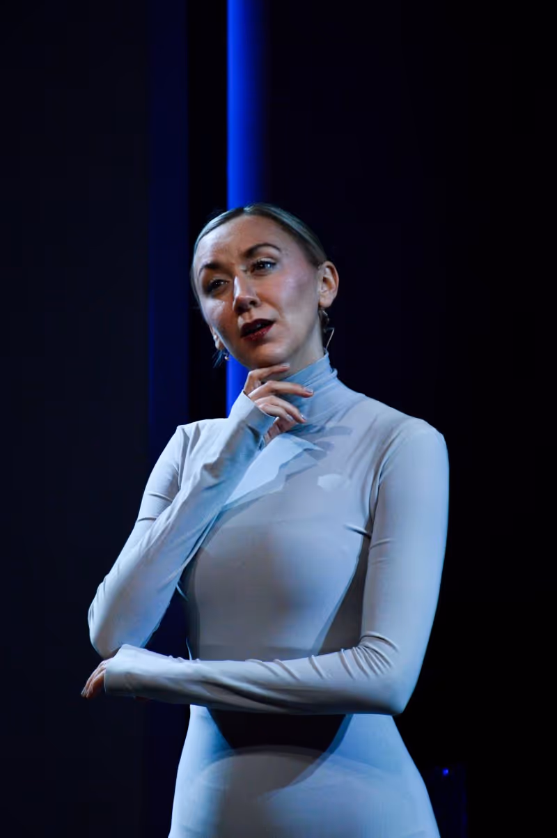 Review: IBOSS at Great Barrington Public Theatre Image