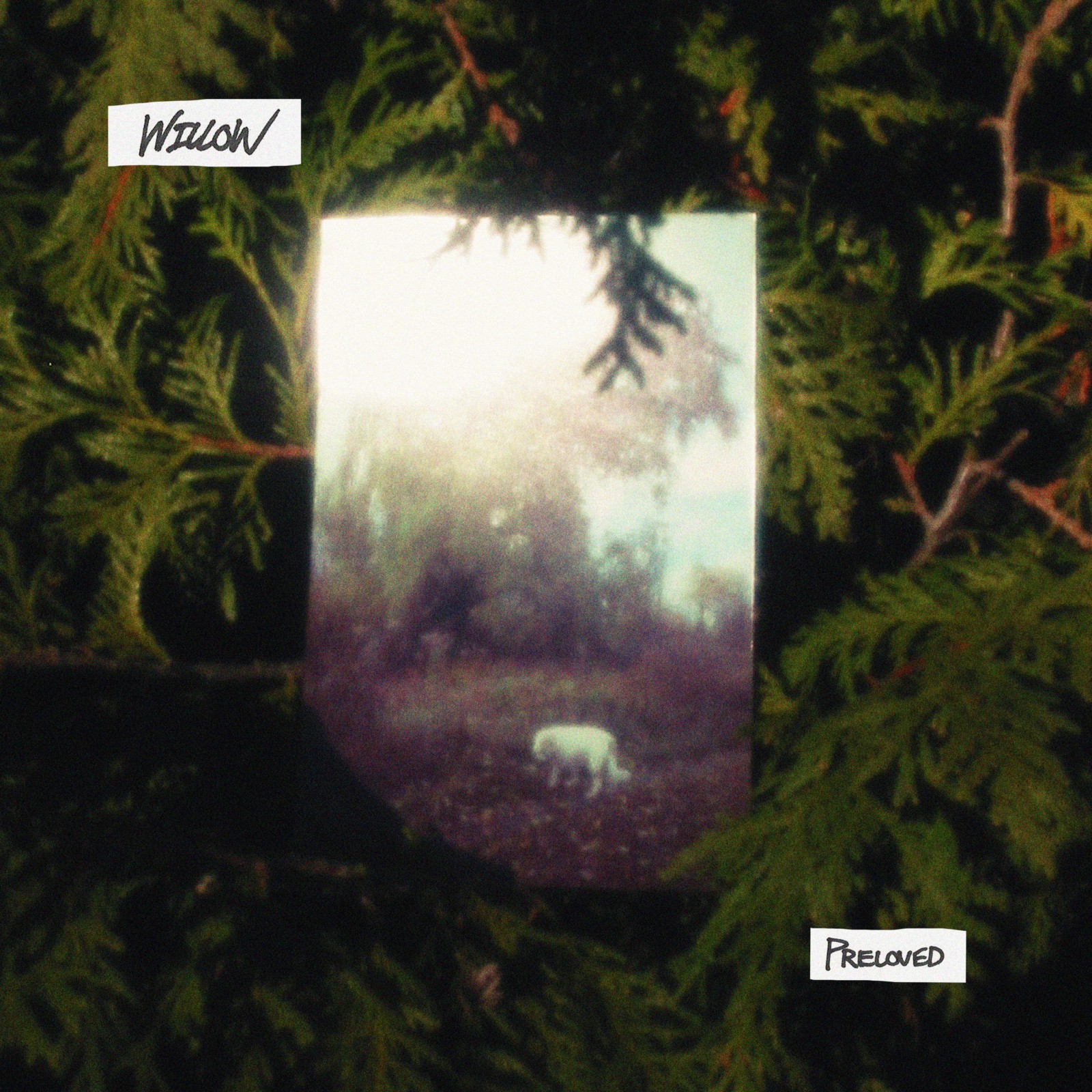Photos: WILLOW, Preloved's Debut Album, Out Now via Lauren Records — photo 1 of 4