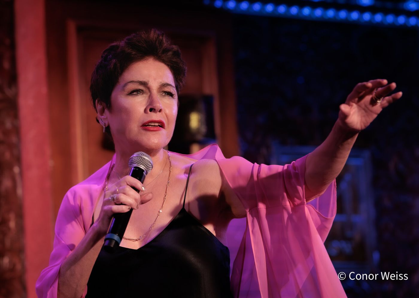 Photos: See Highlights of Christine Andreas's S'WONDERFUL at 54 Below Image