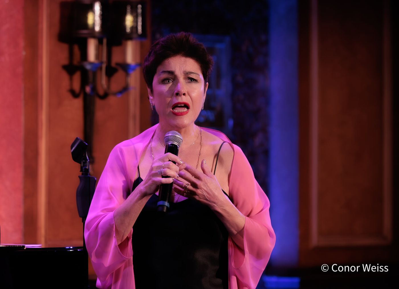 Photos: See Highlights of Christine Andreas's S'WONDERFUL at 54 Below Image